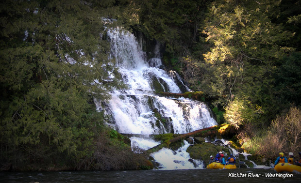 a waterfall in a forest